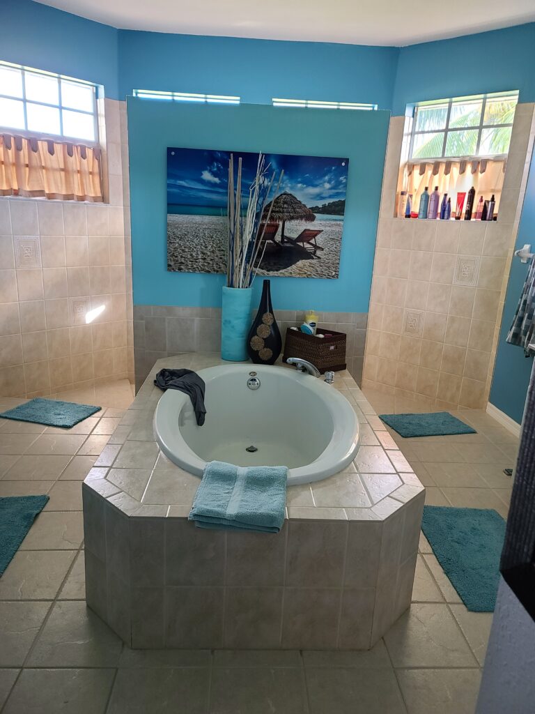 Drop-In Soaking Tub surround